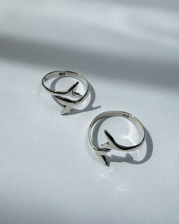 Two Segara rings in window light